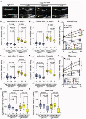 Distinct Contribution of Global and Regional Angiotensin II Type 1a Receptor Inactivation to Amelioration of Aortopathy in Tgfbr1M318R/+ Mice